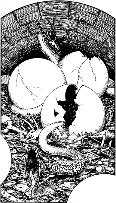 illustration